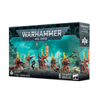 Aeldari: Fire Dragons Miniatures Games Workshop