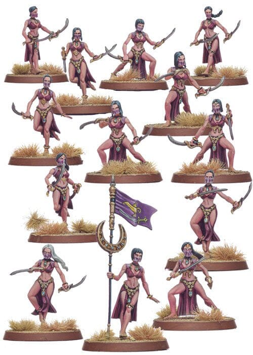 Araves: Charemises Swords (hard-plastic) Miniatures Shieldwolf Miniatures
