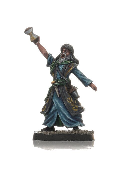 Araves: Sorcerer B Miniatures Shieldwolf Miniatures