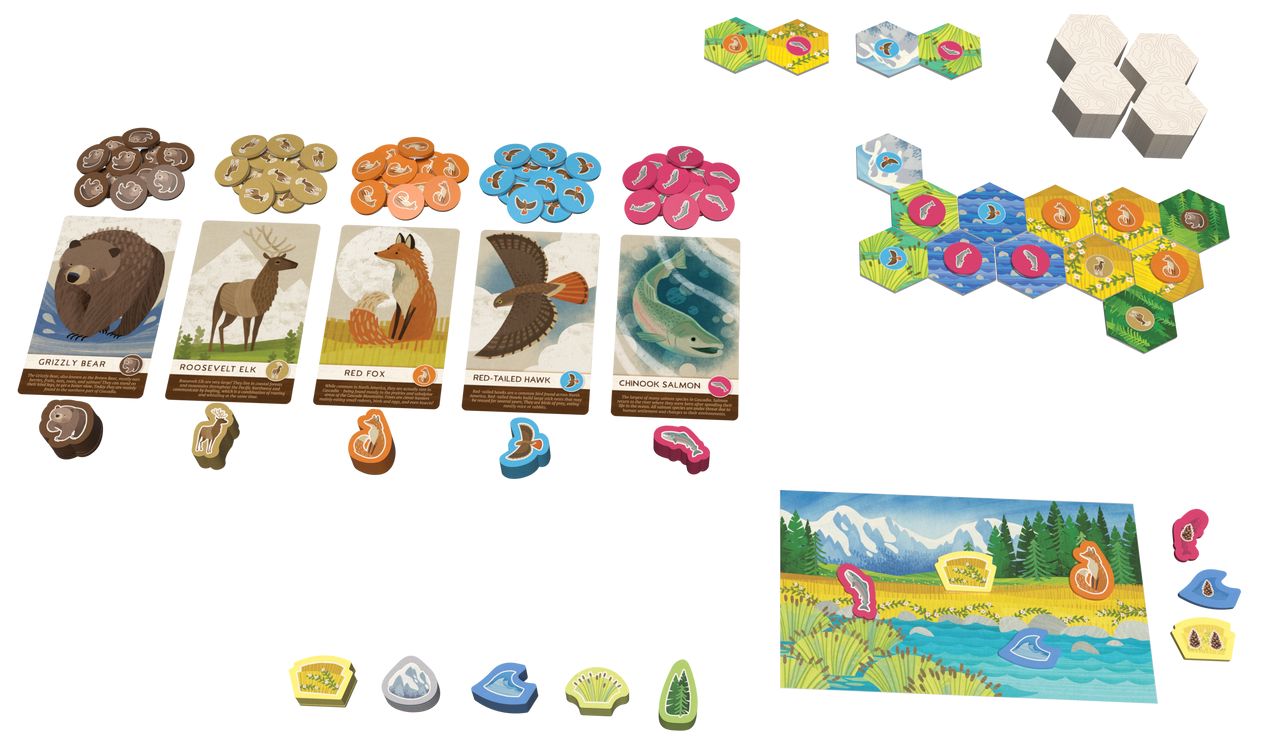 Cascadia Junior Board Games Flatout Games