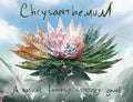 Chrysanthemum Board Games QM Direct 35%