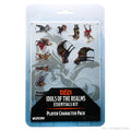 D&D Idols of the Realms: Essentials - Players Pack - 2D Set Miniatures Wizkids