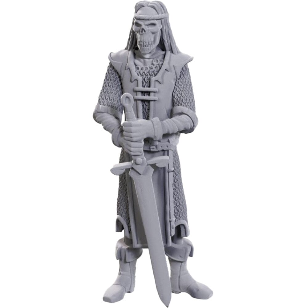 D&D Nolzur's Marvelous Unpainted Minis: Skeleton Knights (50th Anniversary) Miniatures Wizkids
