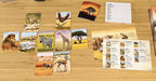Ecosystem: Savanna Card Games GENIUS GAMES