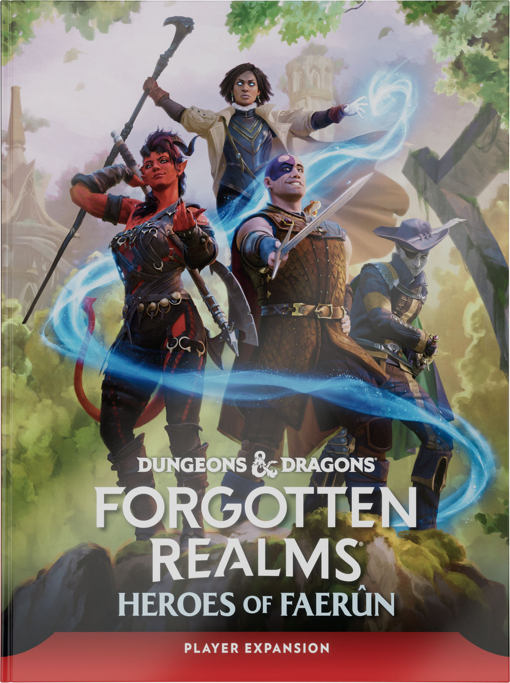 Forgotten Realms: Heroes of Faerun RPG Wizkids Standard 