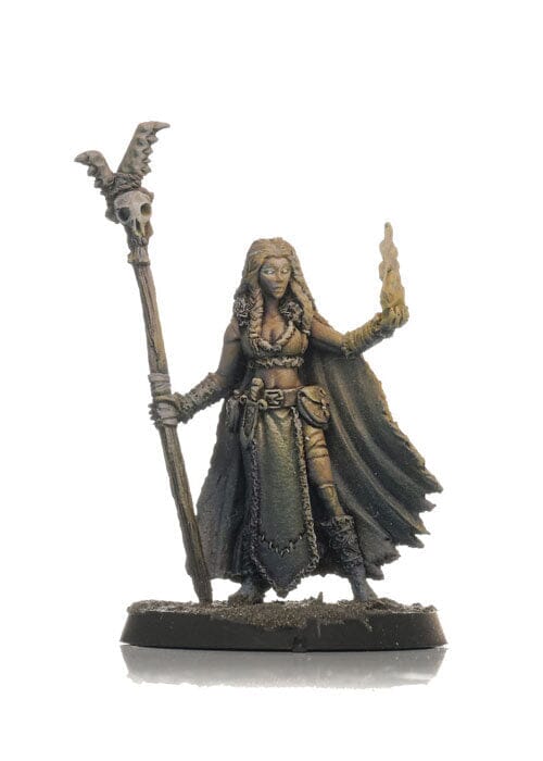 Krumvaal Northern Alliance: Icemaiden Druid Miniatures Shieldwolf Miniatures