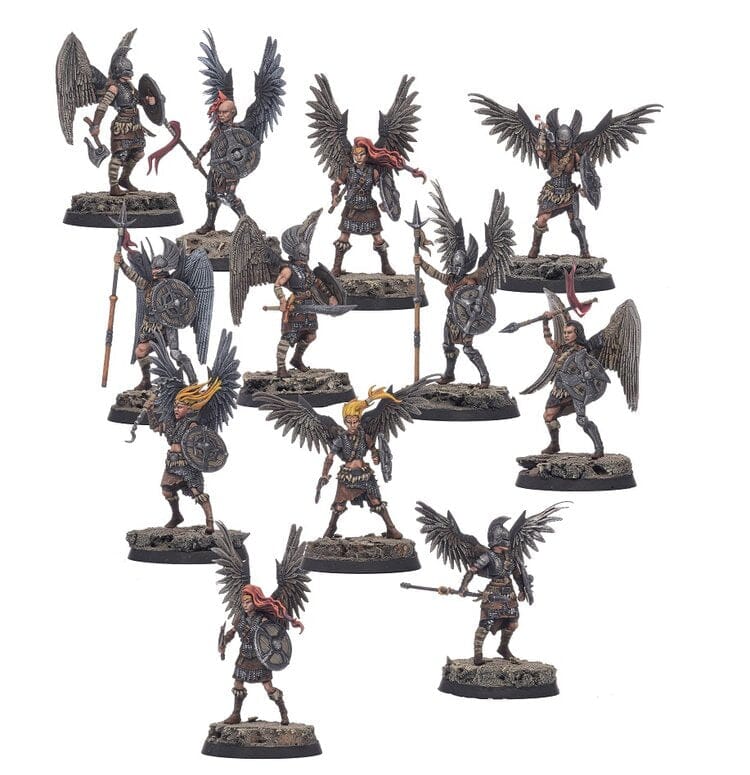 Krumvaal Northern Alliance: Valkyries (hard-plastic multi-part) Miniatures Shieldwolf Miniatures
