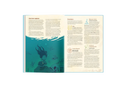 Obojima: Tales from the Tall Grass – Hardcover 5E Campaign Book RPG 1985 Games 