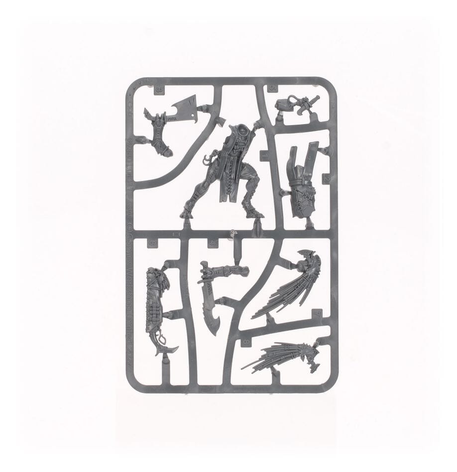 T'au Empire: Kroot Trail Shaper Miniatures Games Workshop
