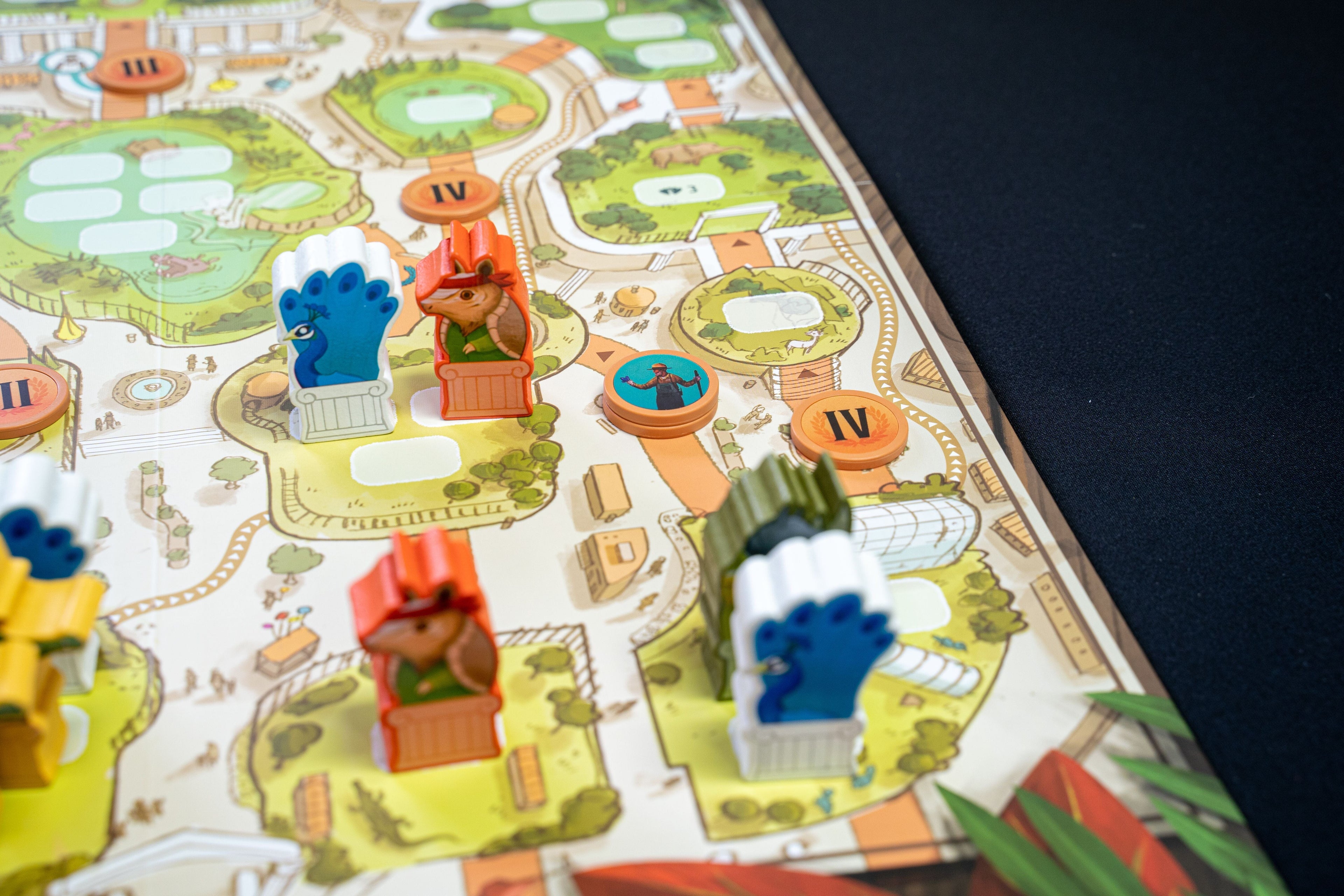 Zoo Vadis Board Games Bitewing Games