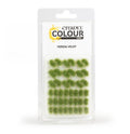 Citadel Colour: Verdia Veldt Tufts Miniatures Games Workshop