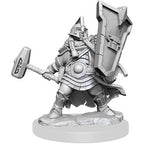 D&D Frameworks W1 - Female Dwarf Cleric Miniatures Wizkids