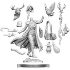 D&D Frameworks W1 - Female Human Druid Miniatures Wizkids