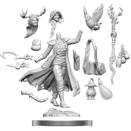 D&D Frameworks W1 - Female Human Druid Miniatures Wizkids