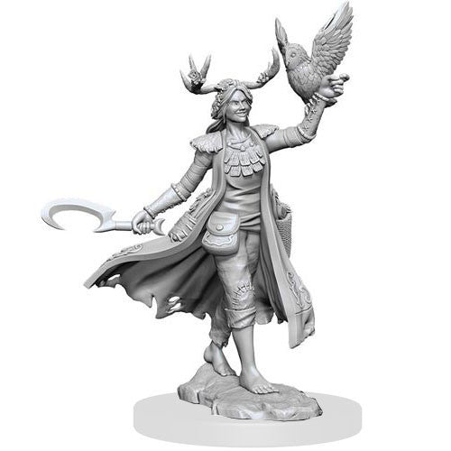 D&D Frameworks W1 - Female Human Druid Miniatures Wizkids