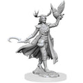 D&D Frameworks W1 - Female Human Druid Miniatures Wizkids