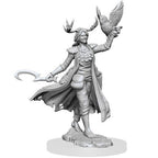 D&D Frameworks W1 - Female Human Druid Miniatures Wizkids