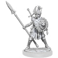 D&D Frameworks W1 - Female Human Fighter Miniatures Wizkids