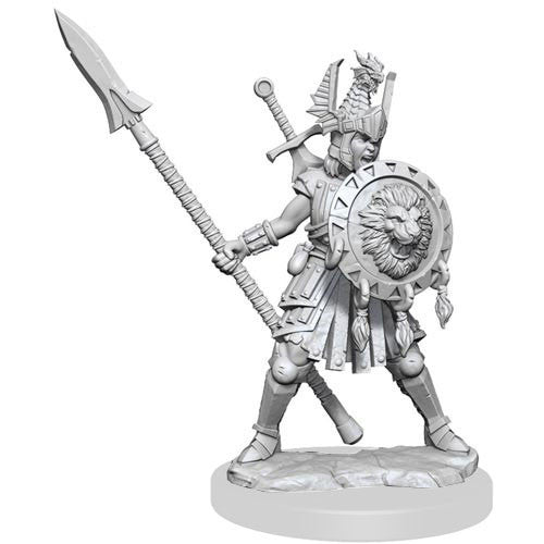 D&D Frameworks W1 - Female Human Fighter Miniatures Wizkids