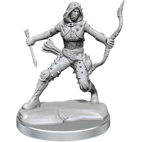 D&D Frameworks W1 - Female Human Rogue Miniatures Wizkids