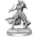 D&D Frameworks W1 - Female Tiefling Rogue Miniatures Wizkids