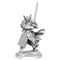 D&D Frameworks W1 - Male Dragonborn Paladin Miniatures Wizkids