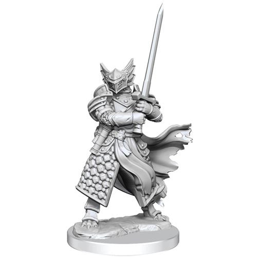 D&D Frameworks W1 - Male Dragonborn Paladin Miniatures Wizkids