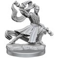 D&D Frameworks W1 - Male Elf Monk Miniatures Wizkids