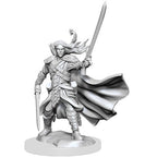 D&D Frameworks W1 - Male Elf Ranger Miniatures Wizkids