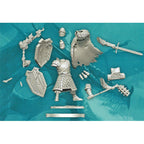 D&D Frameworks W1 - Male Human Fighter Miniatures Wizkids