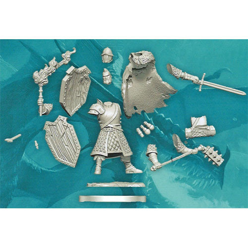 D&D Frameworks W1 - Male Human Fighter Miniatures Wizkids