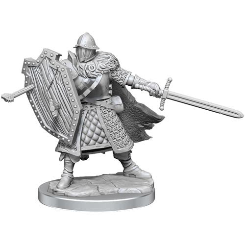 D&D Frameworks W1 - Male Human Fighter Miniatures Wizkids