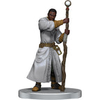 D&D Icons of the Realms: Dragonlance - Warrior Set Miniatures Wizkids