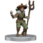 D&D Icons of the Realms: Dragonlance - Warrior Set Miniatures Wizkids