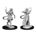 D&D Nolzur’s Marvelous Unpainted Miniatures: Female Tiefling Sorcerer Miniatures Wizkids