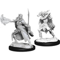 D&D Nolzur’s Marvelous Unpainted Miniatures: Winter & Spring Eladrin Miniatures Wizkids