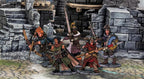 Frostgrave Barbarians II Miniatures Osprey Games