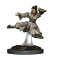 Icons of the Realms Premium Miniatures: Human Monk Miniatures Wizkids