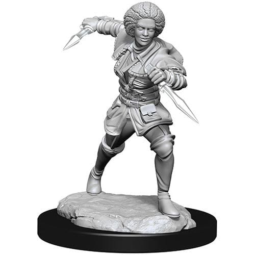 Magic Unpainted Minis: W2 Kaya Miniatures Wizkids