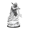 Nolzur's Marvelous Miniatures: Djinni General Wizkids