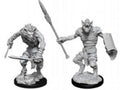 Nolzur's Marvelous Miniatures: Gnoll & Gnoll Flesh Gnawer General Wizkids
