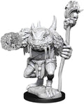 Nolzur's Marvelous Miniatures: Green Slaad General Wizkids
