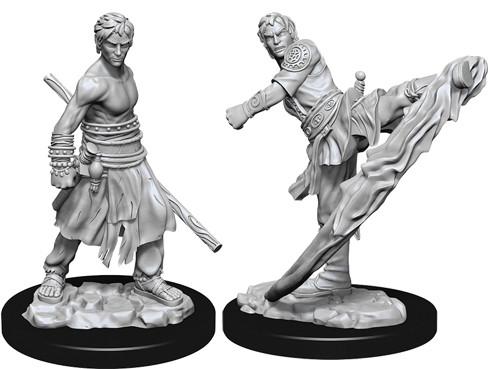 Nolzur's Marvelous Miniatures: Half-Elf Monk Miniatures Wizkids