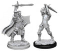 Nolzur's Marvelous Miniatures: Human Paladin Miniatures Wizkids
