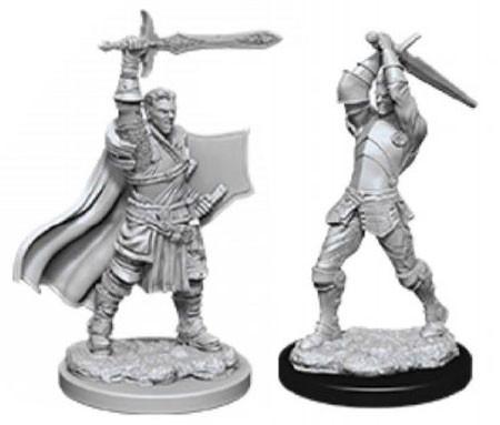 Nolzur's Marvelous Miniatures: Human Paladin Miniatures Wizkids