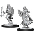 Nolzur's Marvelous Miniatures: Kalashtar Cleric Miniatures Wizkids