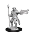 Nolzur's Marvelous Miniatures: Multiclass Cleric + Wizard General Wizkids