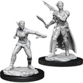 Nolzur's Marvelous Miniatures: Shifter Rogue General Wizkids