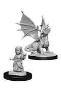Nolzur's Marvelous Miniatures: Silver Dragon Wyrmling & Halfling Dragon Friend General Wizkids
