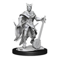 Nolzur's Marvelous Miniatures: Tiefling Bard Miniatures Wizkids